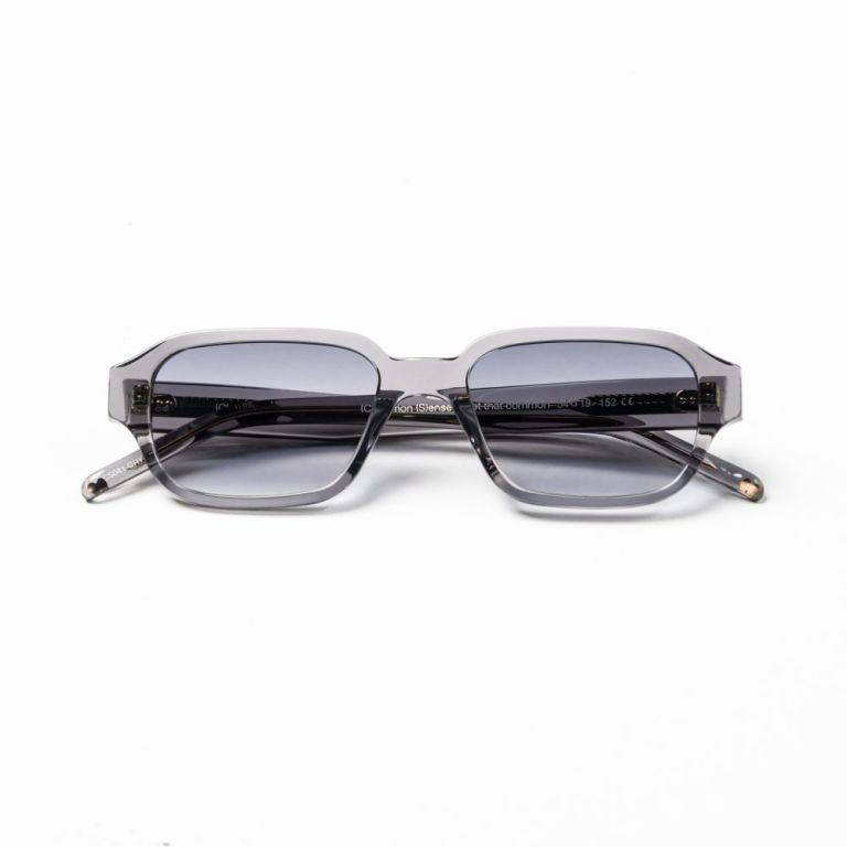 Unisex Γυαλία Ηλίου COMMON SENSE CS041-GRY