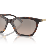 Γυναικεία Γυαλιά Ηλίου EMPORIO ARMANI EA4238 5026/6I
