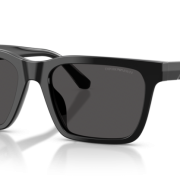 Ανδρικά Γυαλιά Ηλίου EMPORIO ARMANI EA4262U 5017/87