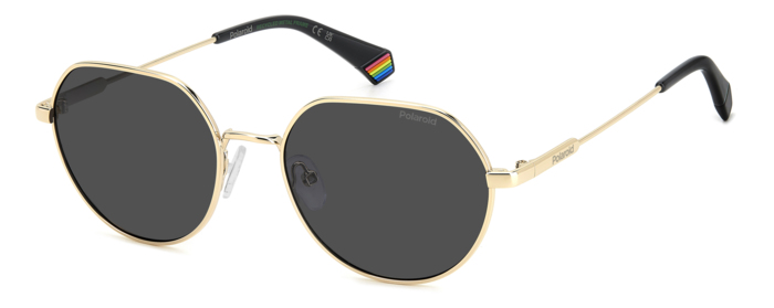 Unisex Γυαλιά Ηλίου POLAROID  PLD6236/S/X RHLM9
